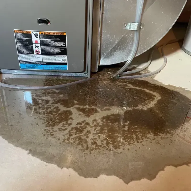 Appliance Leak Cleanup in Richland County, WI